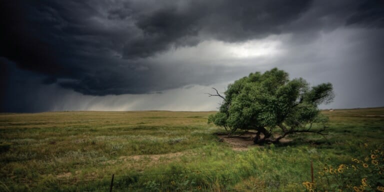 ICRS Blog Wind