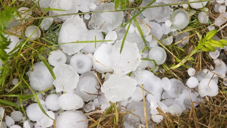 Insurance Claim Recover Support Georgetown May 2020 Hail Storm scaled e1655216057626