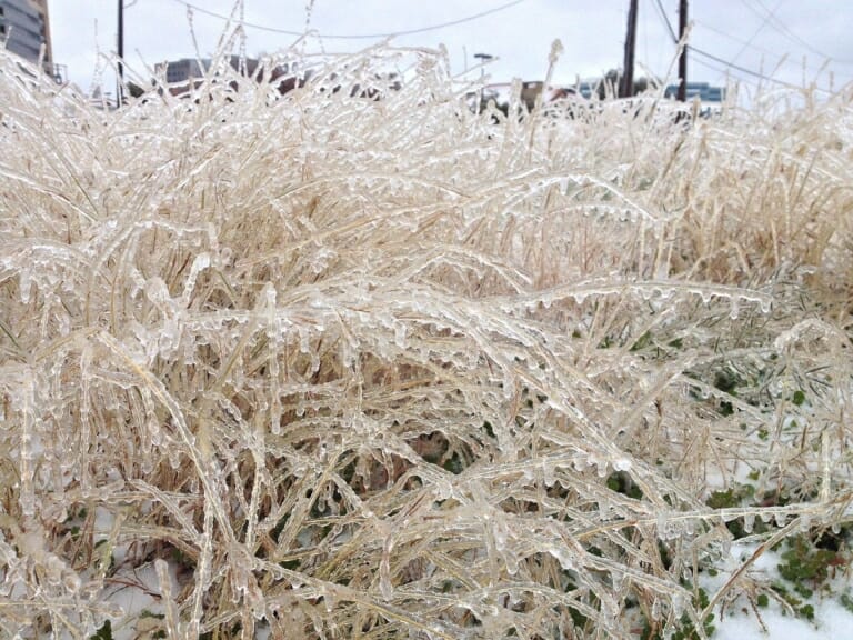 Insurance Claim Recovery Support Winter Storm Damage Claim