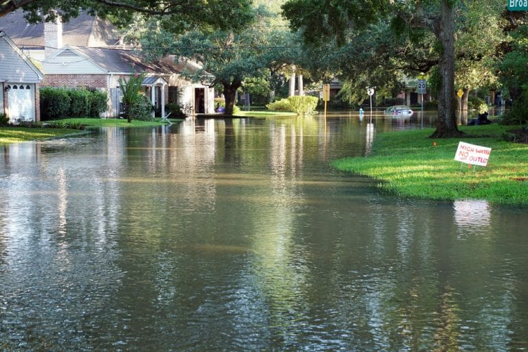 Adjuster Claim Support in Barry TX
