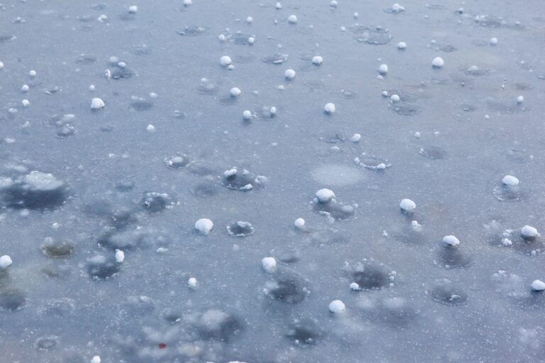 hail damage insurance claim process scaled