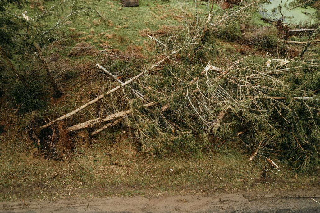 Public Adjuster vs Insurance Company: Which is Better for Property Damage Claims? 7 public adjuster vs insurance company for property damage claim scaled