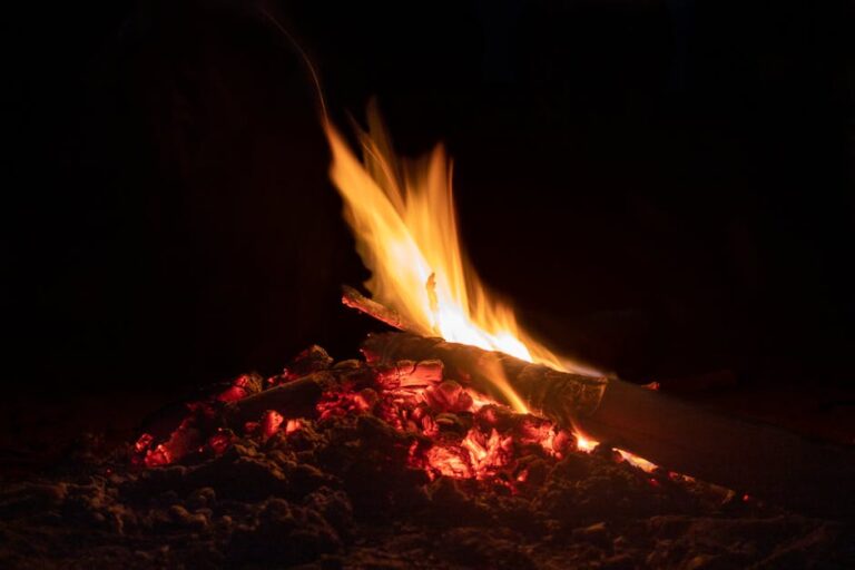 austin fire