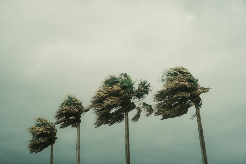 hurricane categories