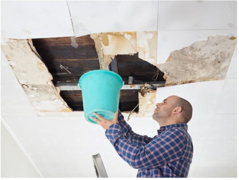 best public adjuster for roof leak insurance near me