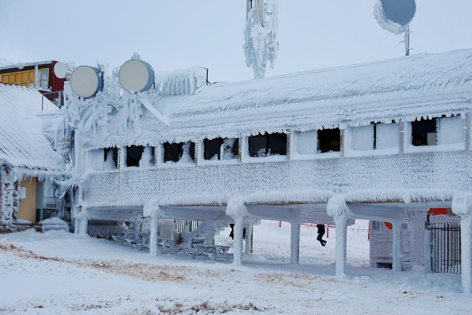 freeze damage in Texas