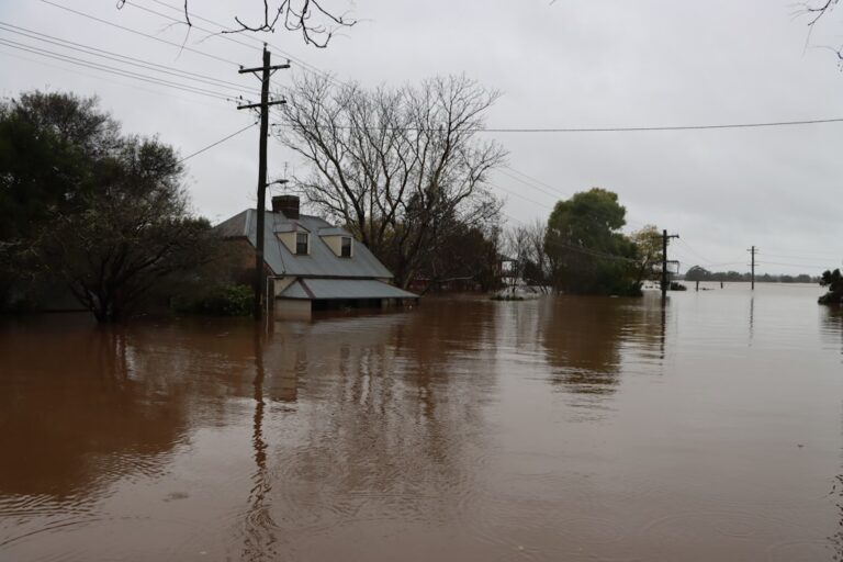 public insurance adjuster for flood damage