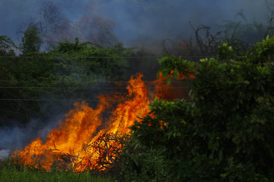 fire mitigation
