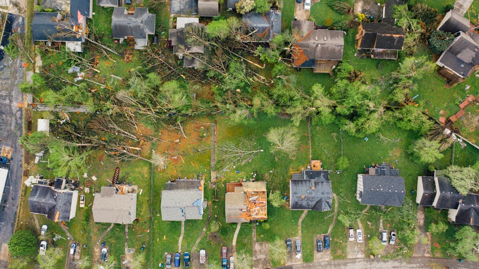 storm-related large loss claims