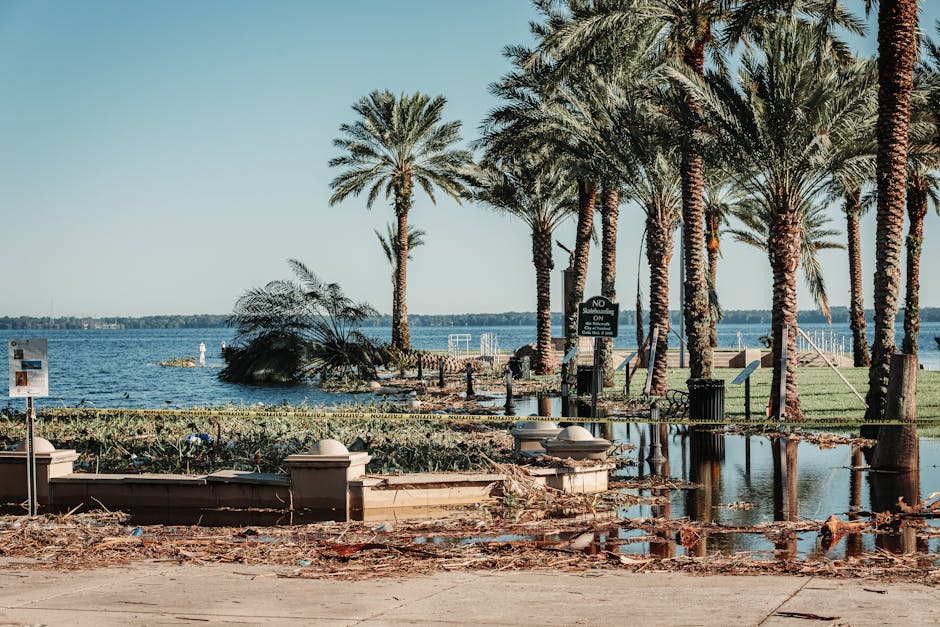 assessing damage to your property after a hurricane