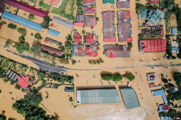 flood damage public adjuster