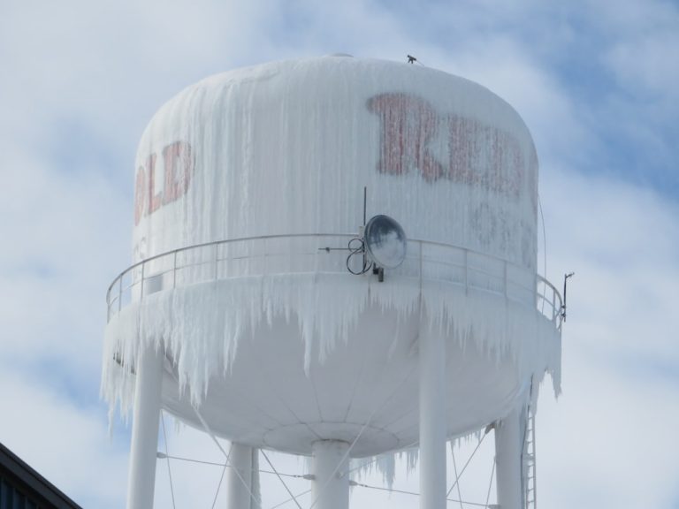 Austin freeze damage