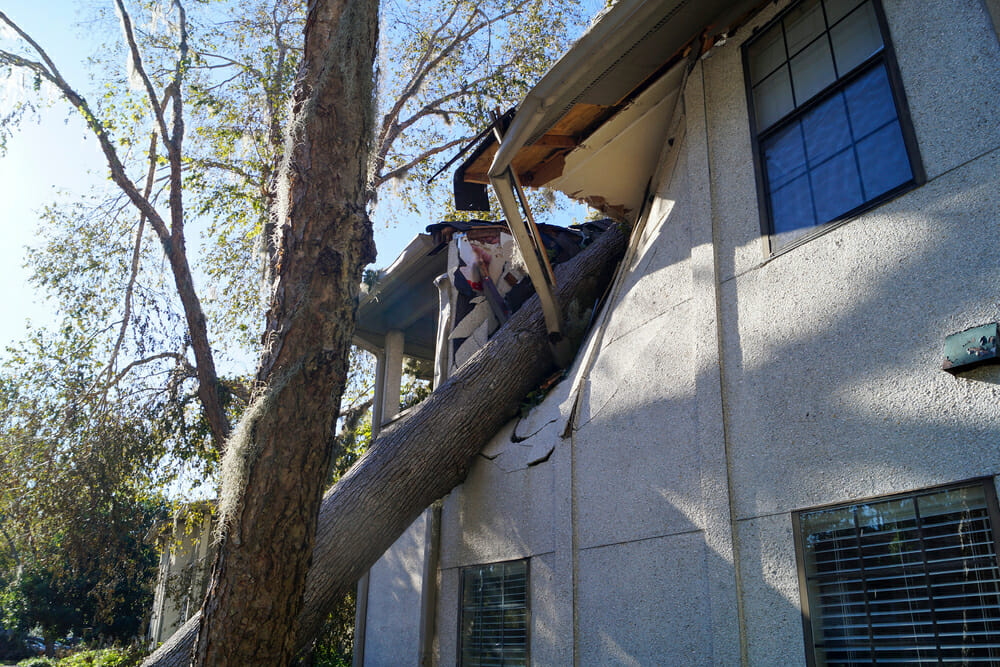 North Carolina wind damage